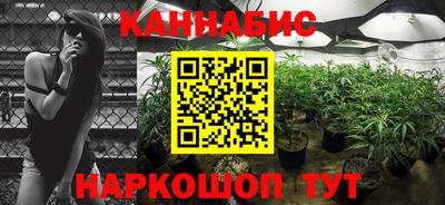 гашик Каменск-Шахтинский