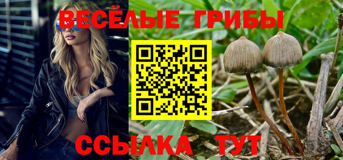 Симферополь  Галлюциногенные грибы Psilocybine cubensis  Вход с VPN 