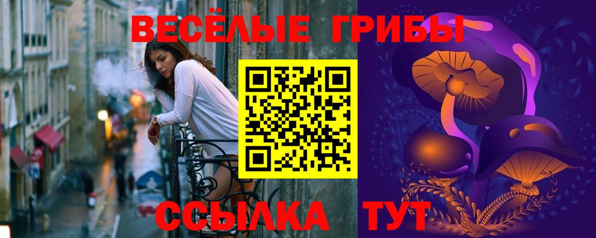 Галлюциногенные грибы Psilocybine cubensis Симферополь